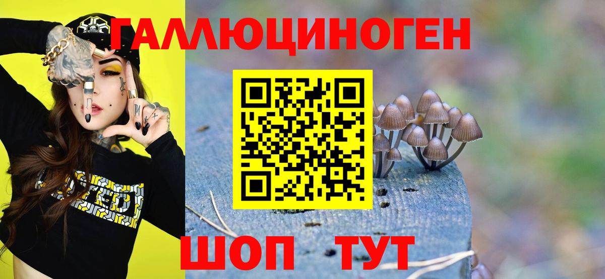 Галлюциногенные грибы Psilocybe Клинцы
